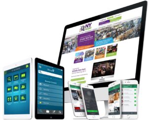 web development